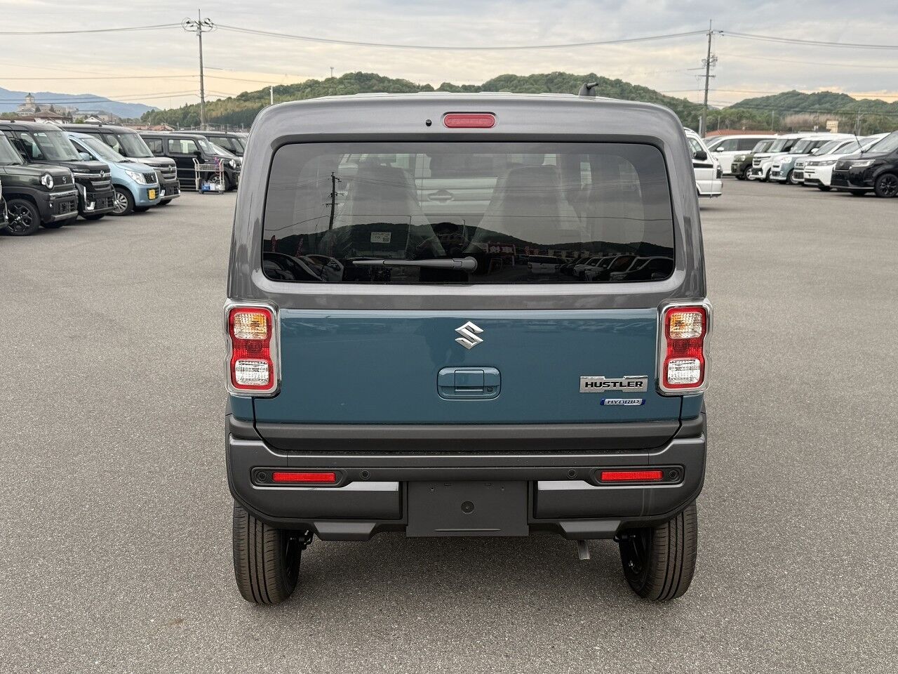 40056944-010.jpg