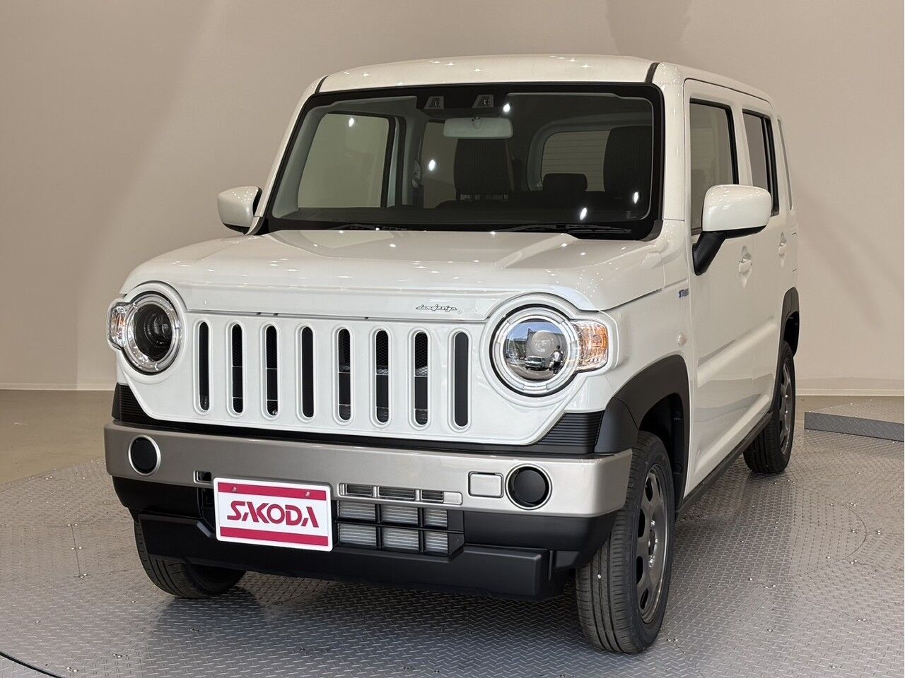 40057384-001.jpg