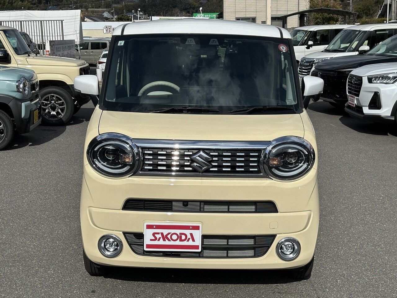 40059808-003.jpg