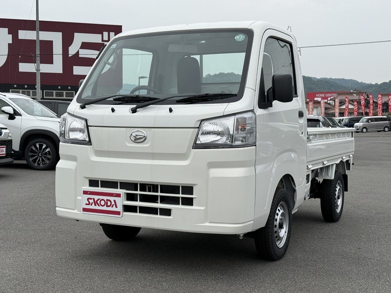 40060498-001.jpg