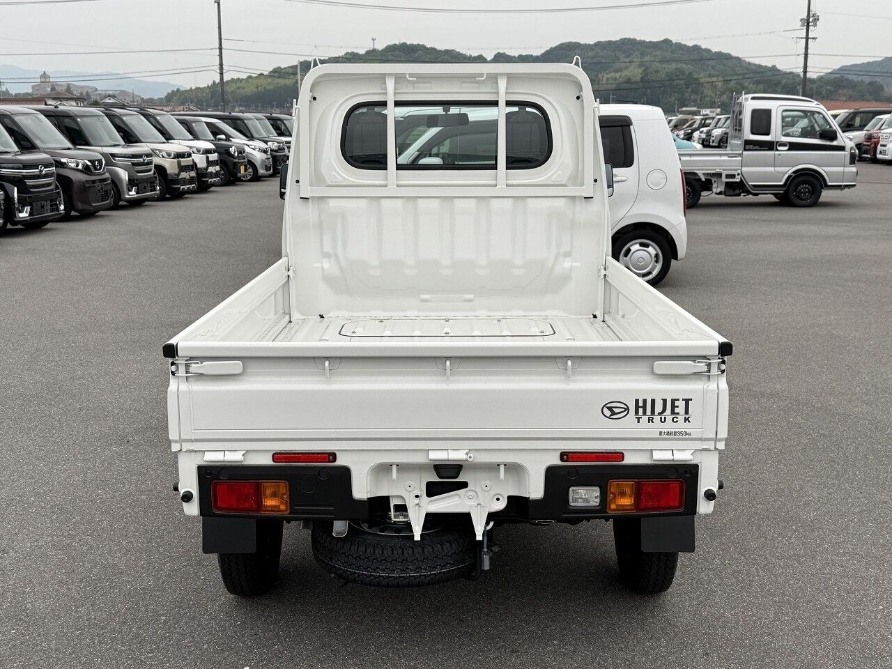 40060498-009.jpg