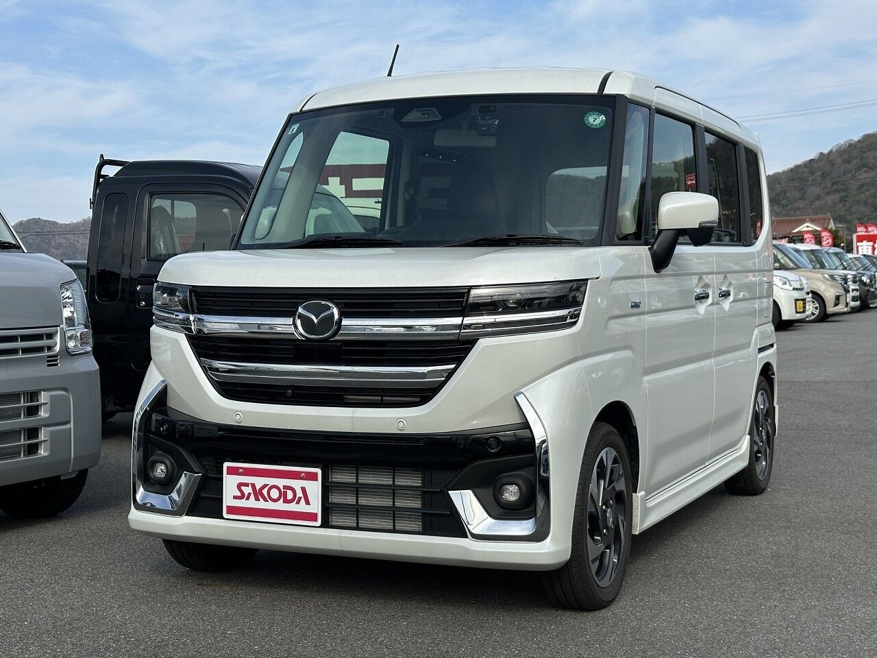 40060852-001.jpg