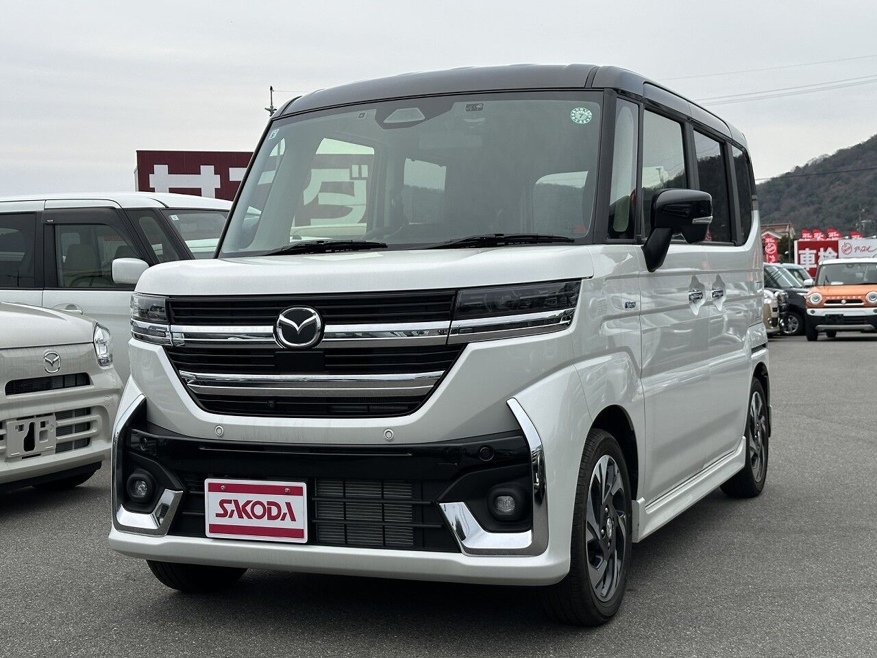 40060870-001.jpg