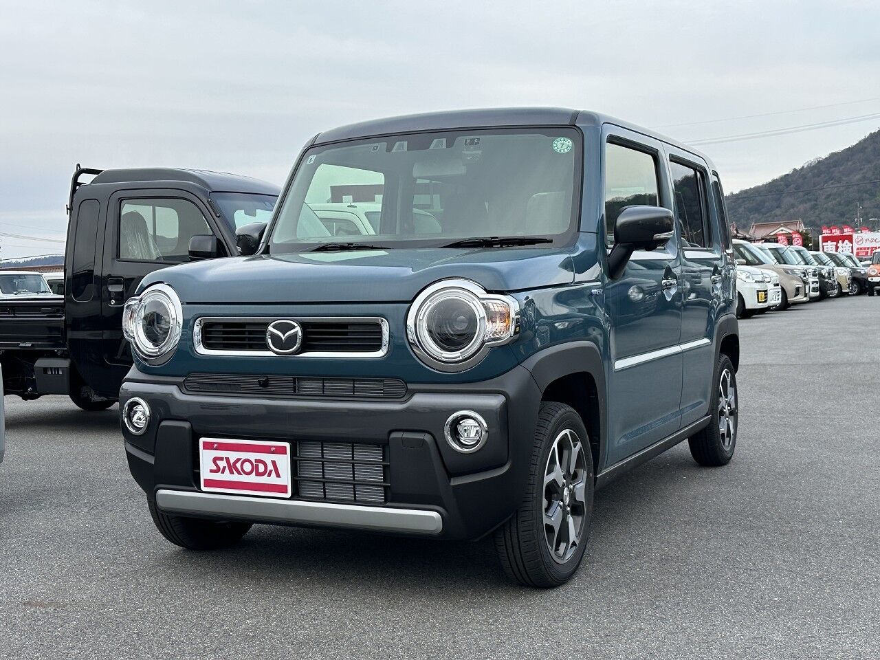 40060886-001.jpg