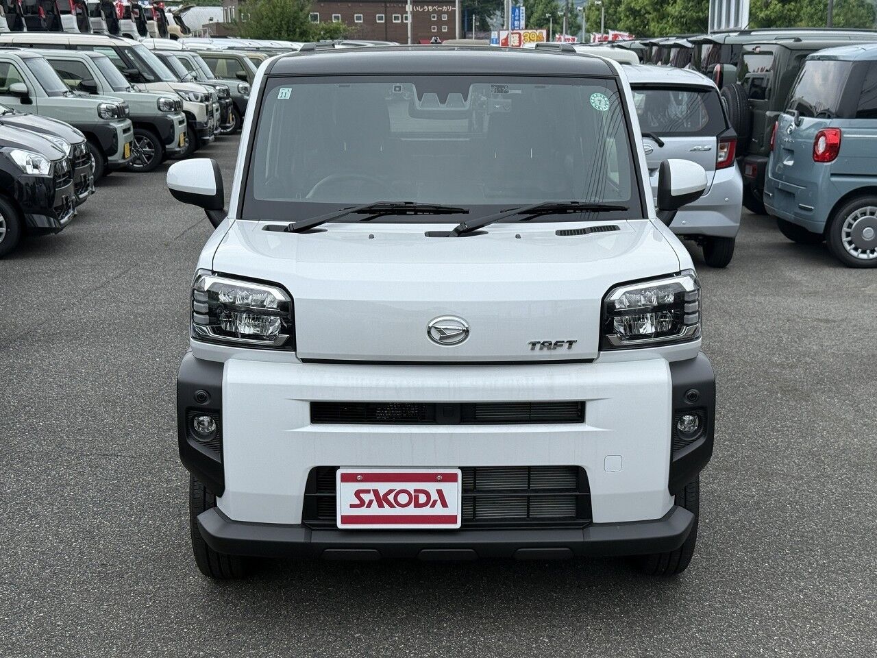 40061356-003.jpg