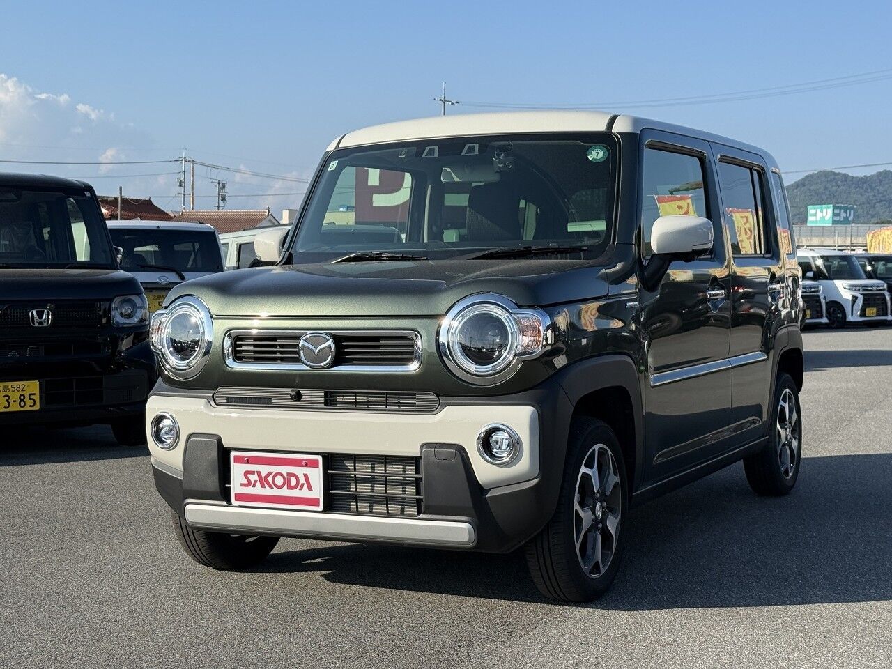 40061722-001.jpg