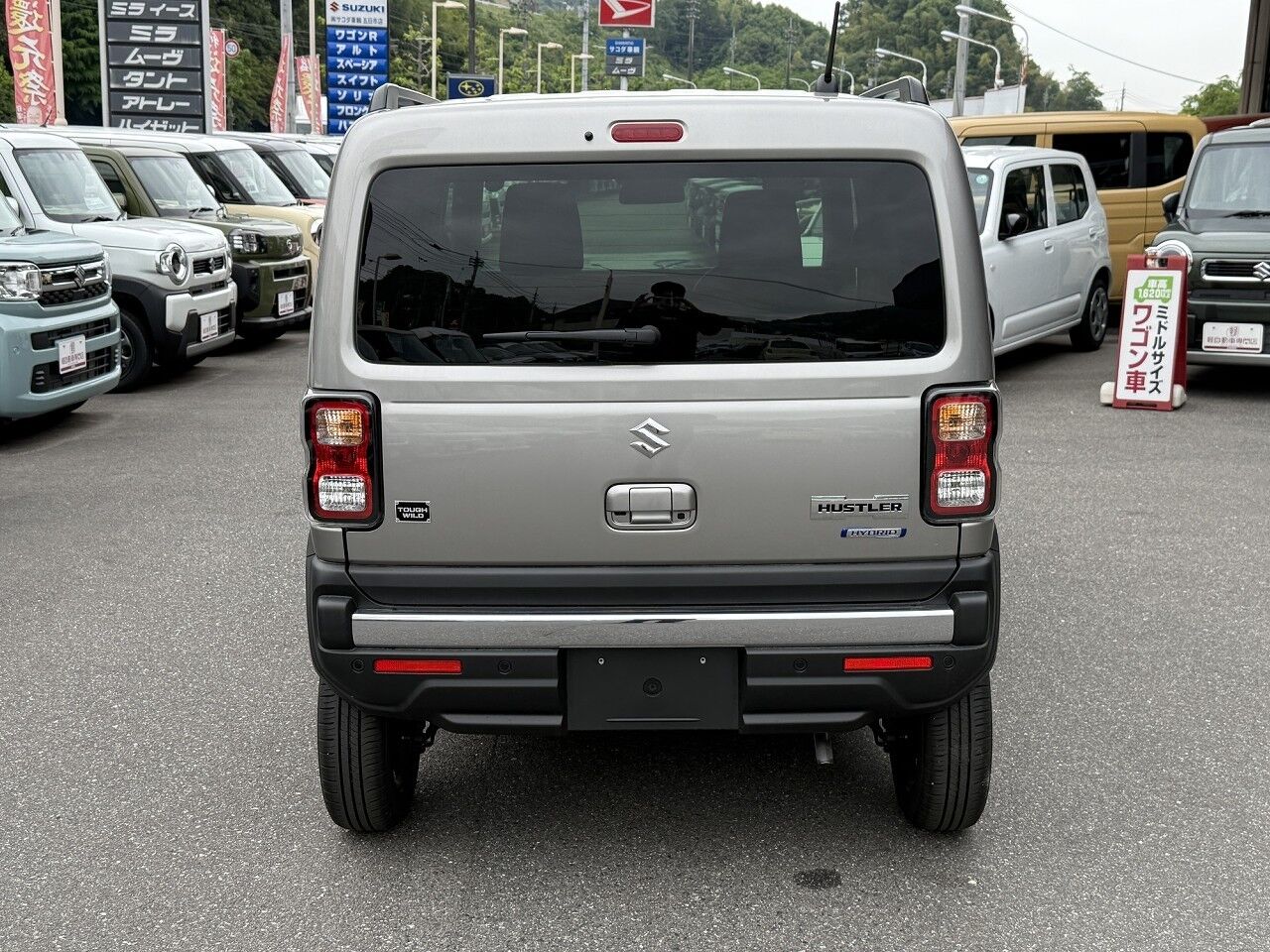 40061726-010.jpg