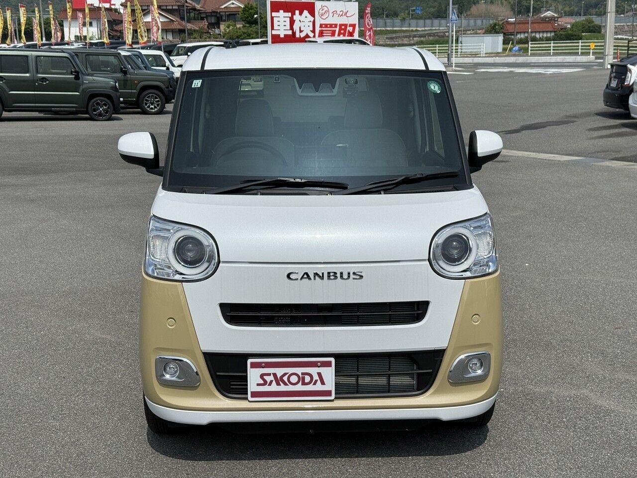 40062535-003.jpg
